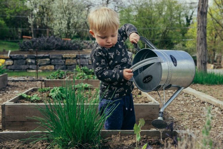little boy in garden