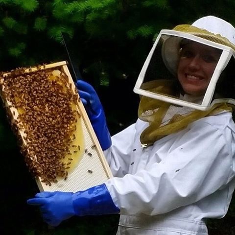 beekeeping