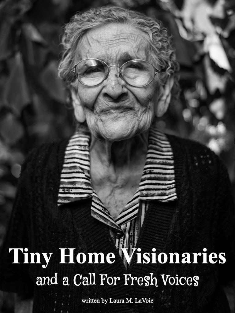 tiny home visionaries