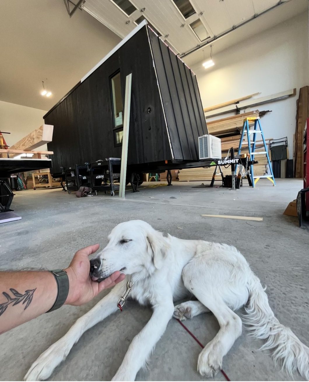 Mid Camp Cabin and dog