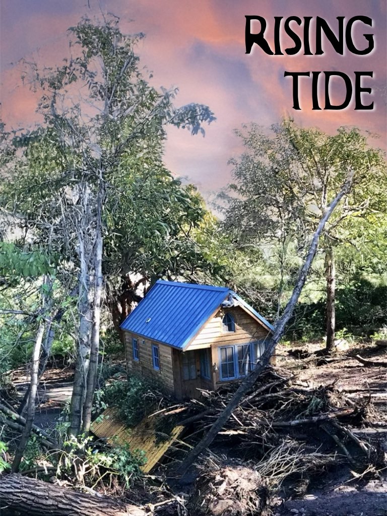 dealing with disasters