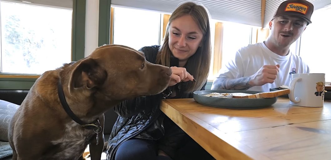 feeding their dog in the tiny house