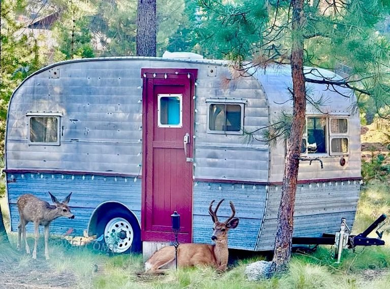 Tiny Home Vintage Trailer