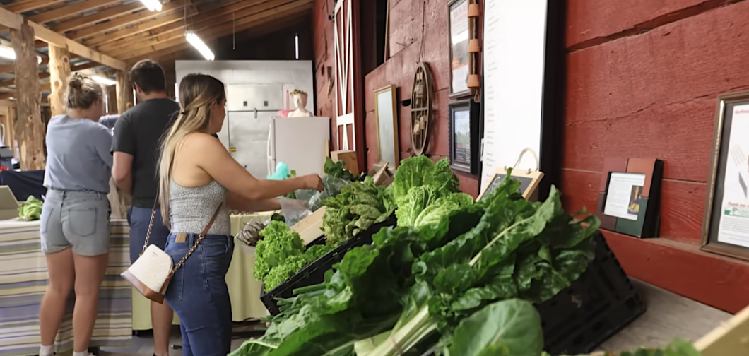 Organic farm produce and community